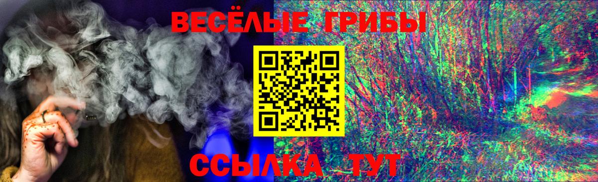 Галлюциногенные грибы мухоморы Великий Новгород